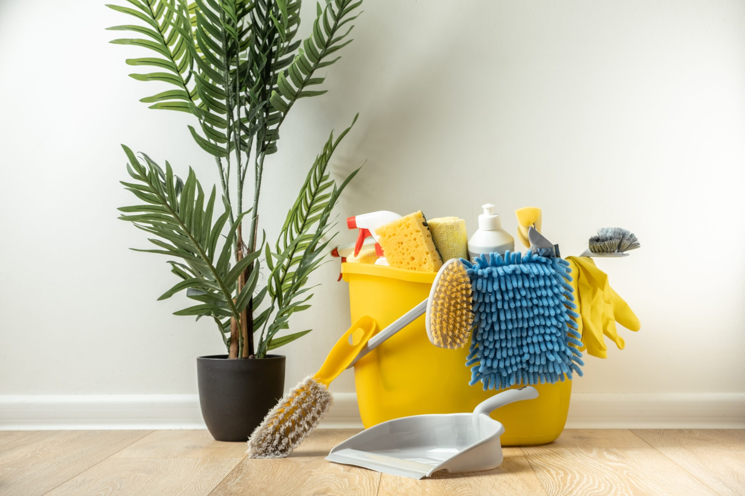 shutterstock_2241492413